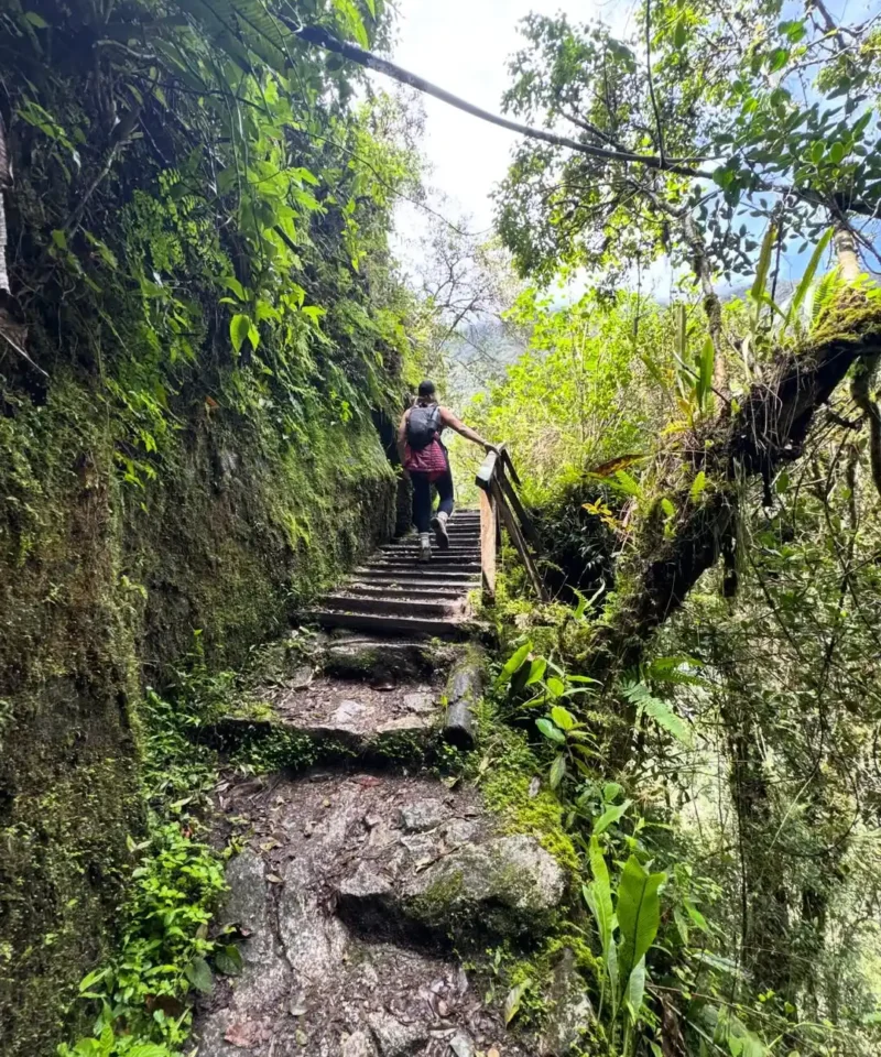 machupicchu-destinos