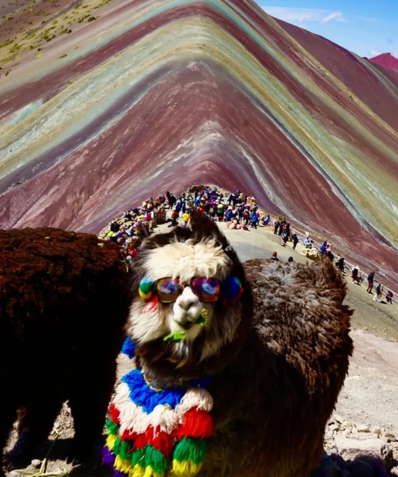 machupicchu-destinos